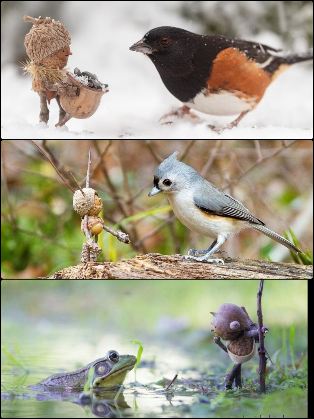4 Pics - Miniature Figure And Real Animals