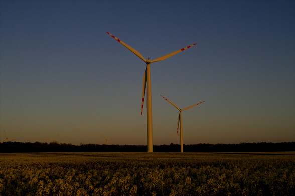 The photo shows an evening landscape, in the foreground a field of blooming rapeseed, wind turbines, and a dark forest in the distance.
