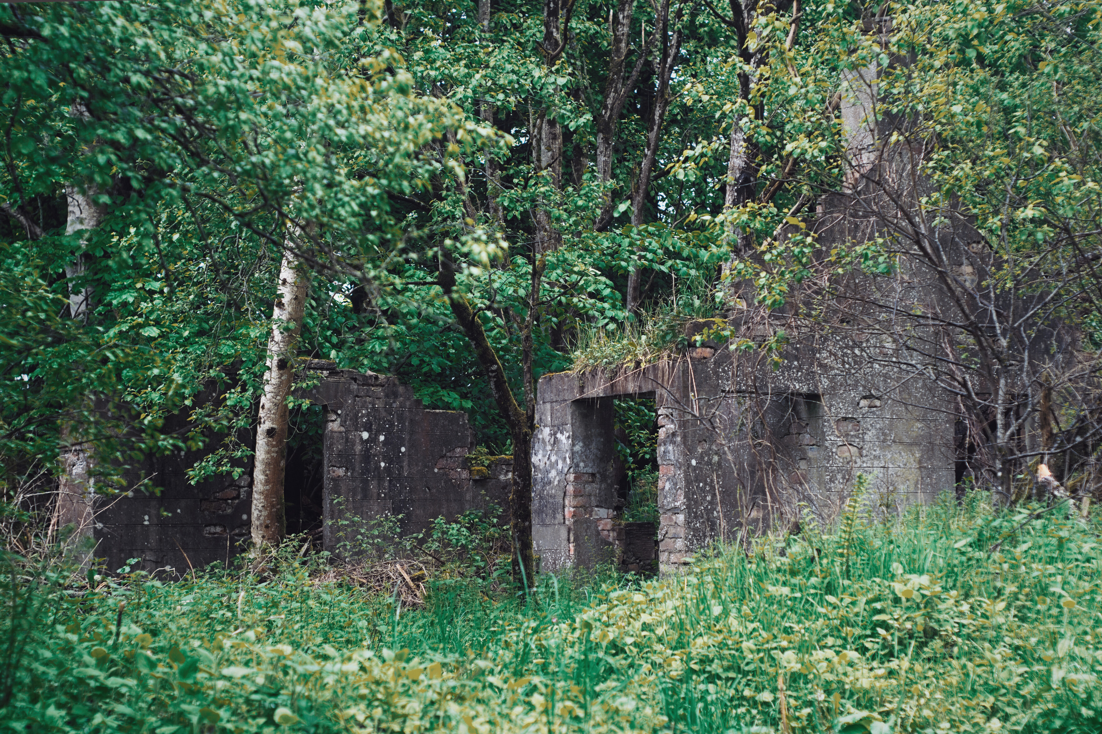 Trowan Lodge ruin, Lady Mary's Walk outside Crieff