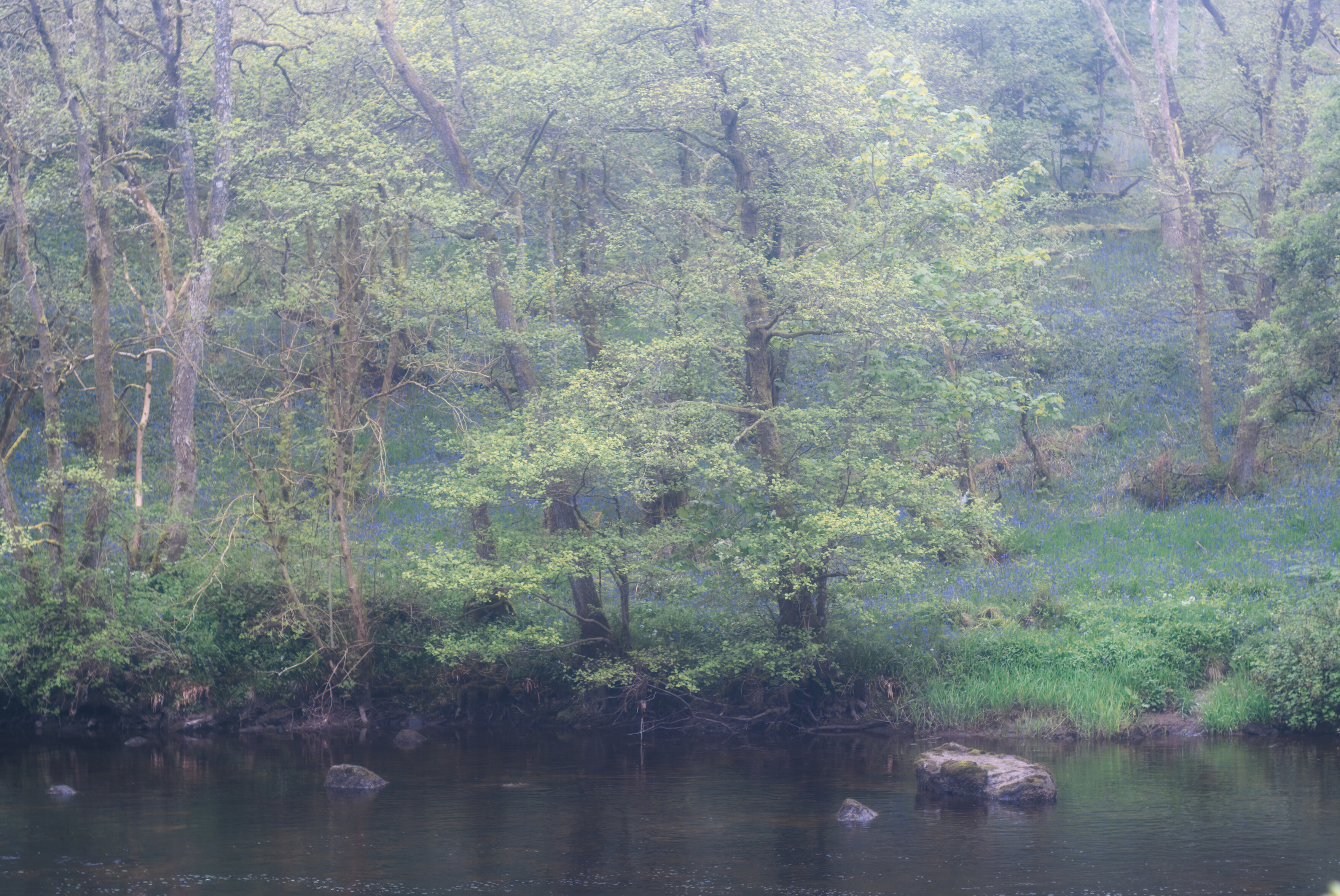 Hazy moments - faint drizzle across the River Earn