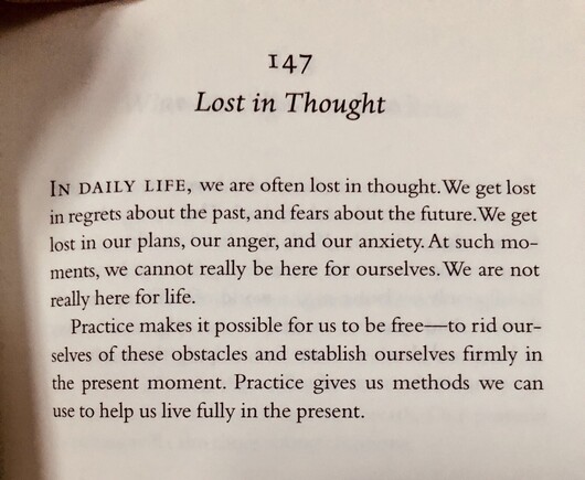 Day 147 “Lost in Thought” from Your True Home by Tich Nhat Hanh