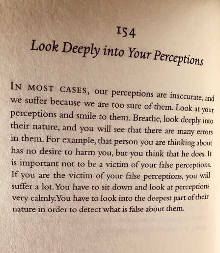 Day 154 â€œLook Deeply into Your Perceptionsâ€� from Your True Home by Tich Nhat Hanh