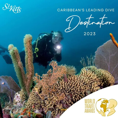 St Kitts and NevisIsland: #StKitts has been crowned the #Caribbean’s Leading #ScubaDiving Destination 2023 for the second year in a row at the prestigious World Travel Awards. https://tinyurl.com/yrapm95z