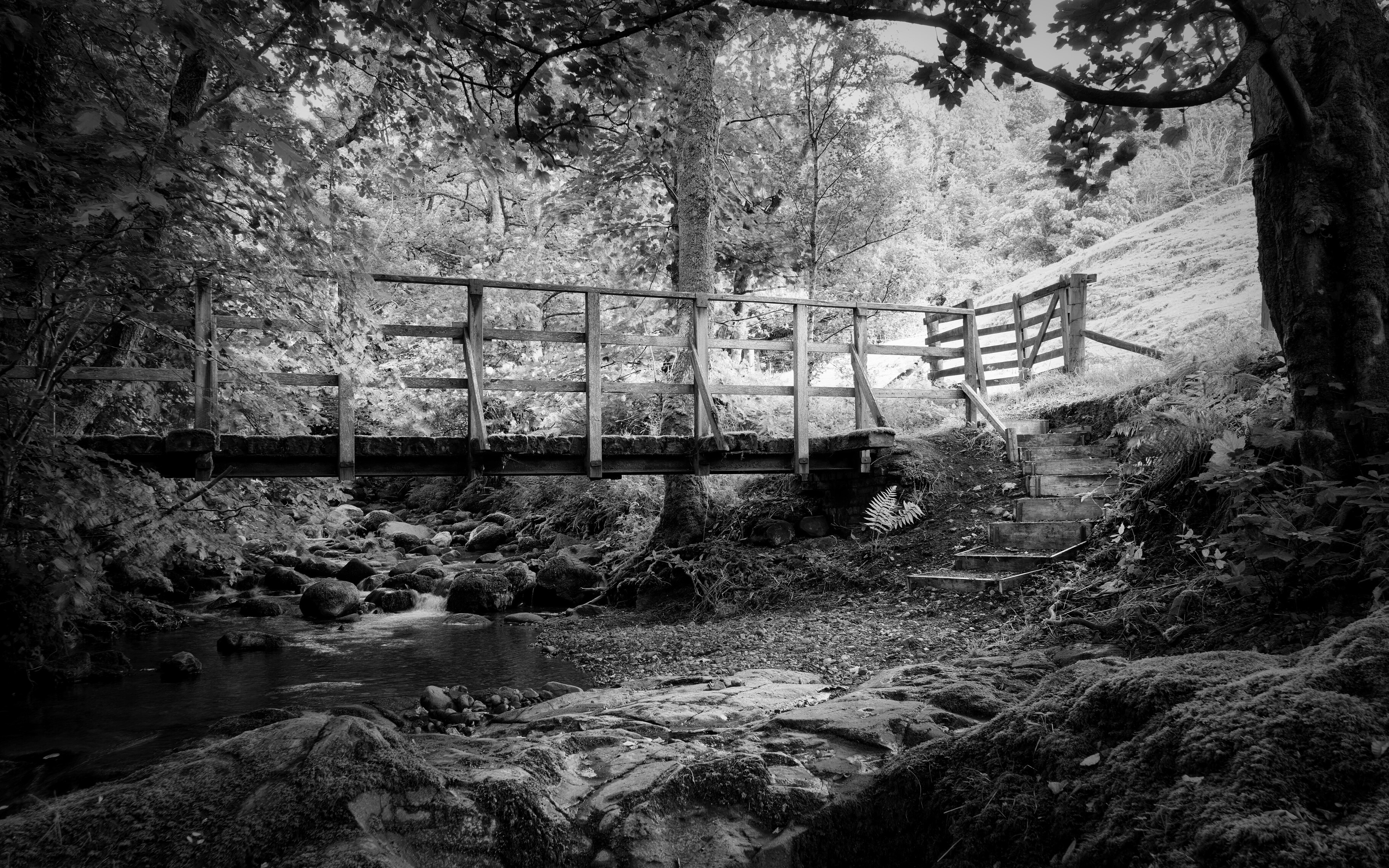 A small bridge over the burn in Dunning Glen - always feels a bit shaky as only one side merits hand-hold support.