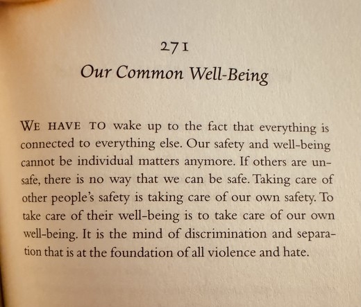 Day 271 Our Common Well-Being
WE HAVE TO wake up to the fact that everything is connected to everything else. Our safety and well-being cannot be individual matters anymore. If others are un-safe, there is no way that we can be safe. Taking care of other people's safety is taking care of our own safety. To take care of their well-being is to take care of our own well-being. It is the mind of discrimination and separation that is at the foundation of all violence and hate.

From Your One True Home by Tich Nhat Hanh