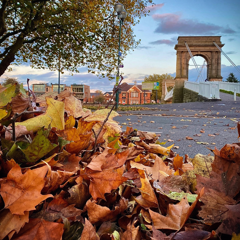 An autumn view of leaves in front of Nottingham’s Wilford Suspension Bridge