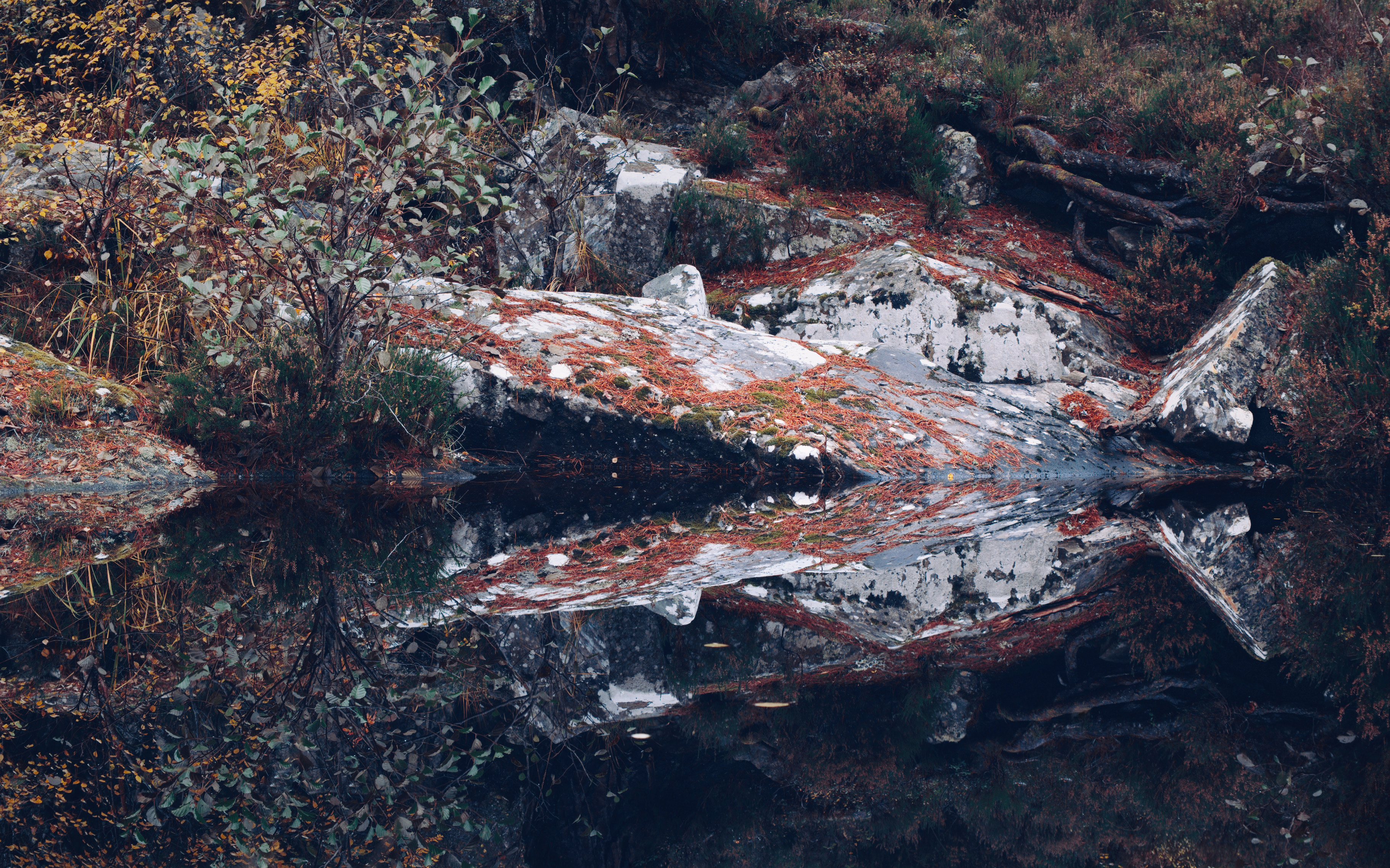 Symmetrical reflection of pale rocks in a calm still pool. Autumn in Glen Affric