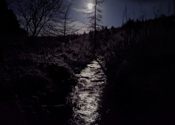 Moonlit stream with frozen vegetation around.