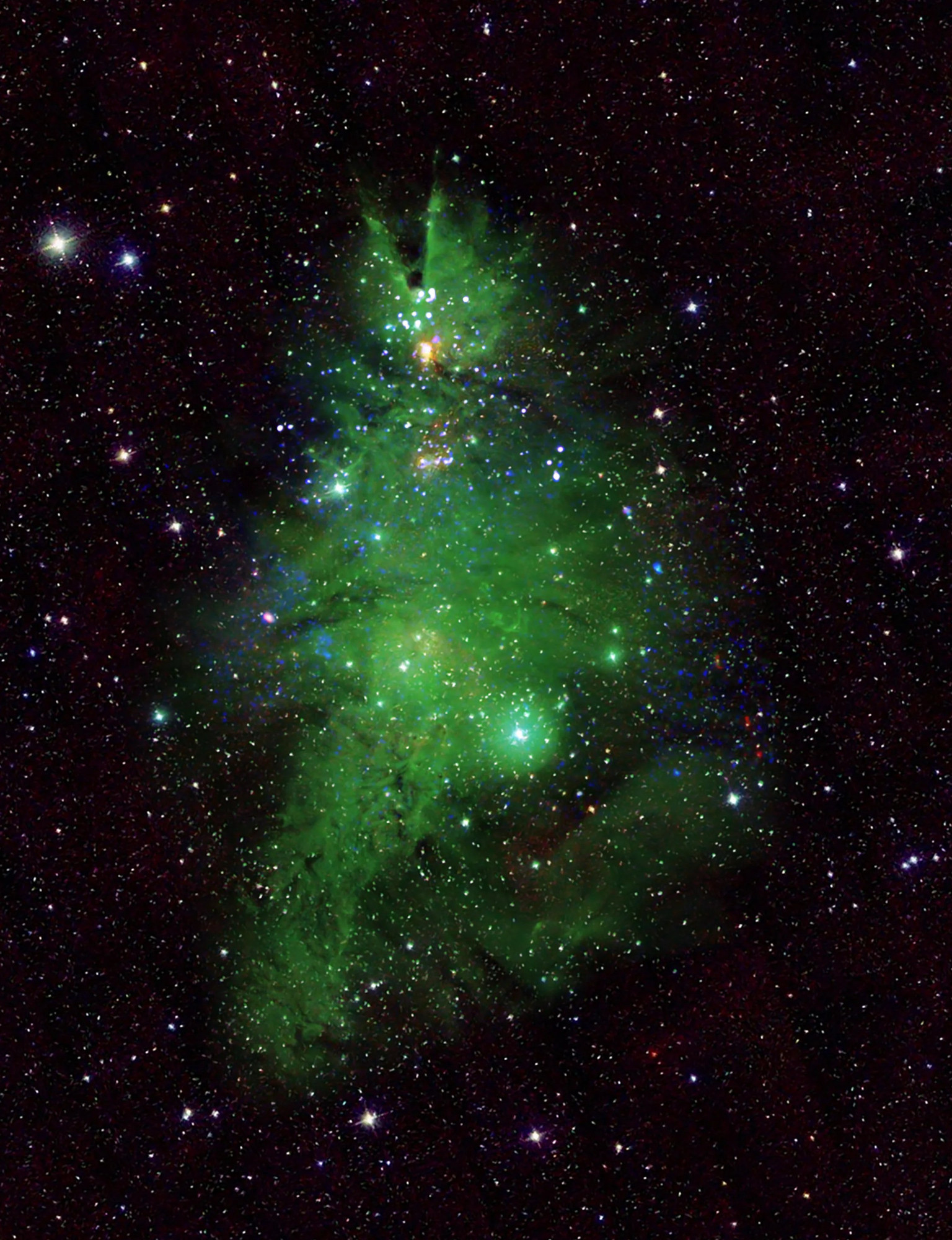 This new composite image enhances the resemblance to a Christmas tree through choices of color and rotation. The blue and white lights (which blink in the animated version of this image) are young stars that give off X-rays detected by NASA’s Chandra X-ray Observatory. Optical data from the National Science Foundation’s WIYN 0.9-meter telescope on Kitt Peak shows gas in the nebula in green, corresponding to the “pine needles” of the tree, and infrared data from the Two Micron All Sky Survey shows foreground and background stars in white. This image has been rotated clockwise by about 160 degrees from the astronomer’s standard of North pointing upward, so that it appears like the top of the tree is toward the top of the image.