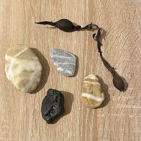 A strand of black dried out seaweed, and four small rocks. Three are grey/brown with white stripes and the forth is back with pock marks.
