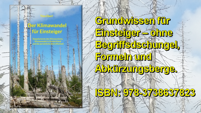 Coverfoto vom Buch mit nachwachsendem Wald inmitten abgestorbener Bäume im Harz