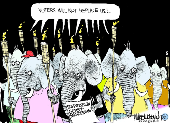 A political cartoon by Mike Luckovich. A group of elephants are marching angrily, holding tiki torches. One of them carries a page labeled "Suppression Gerrymandering." The elephants are chanting, "Voters Will Not Replace Us!"