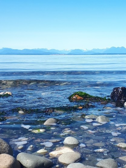 tide coming in over a rocky shore, rocks covered in seaweed, and in the distance islands and mountain ranges beyond. The day is blue - sky and haze, ocean and land masses, save for the grey rocks in the foreground.