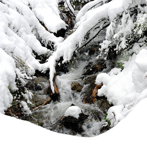 Ein verschneiter Gebirgsbach fließt zwischen mit Schnee bedeckten Ästen und Steinen hindurch. Das Wasser ist klar und bewegt sich schnell über die sichtbaren Steine. Einige Pflanzen sind teilweise sichtbar und stecken aus dem Schnee hervor. Die Szene wirkt natürlich und unberührt.