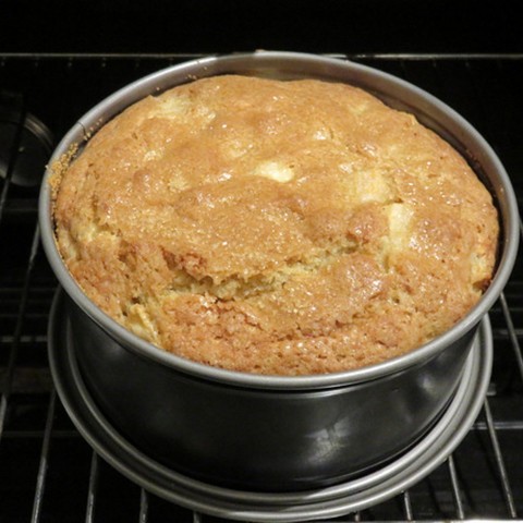 Ein aufgegangener, goldbrauner Kuchen in einer runden Backform, welcher im Ofen steht. Die Oberfläche des Kuchens ist leicht gerissen, was darauf hindeutet, dass der Teig fluffig und locker ist. Die goldbraune Kruste sieht lecker aus.