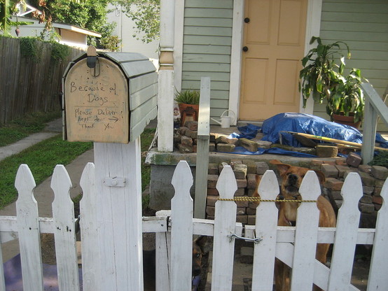 Wooden picket fence and gate in front of porch and door of a wooden house.  The gate is held shut with both a metal latch and a bungee cord. A medium sized yellow dog is watching passers by from inside the gate.  
A residential letter box is atop a pole beside the gate.  On the front of the letter box is hand written: "Because of Dogs - Please Deliver next door". 
Arrow symbol pointing right. Lower text: "Thank you." 
