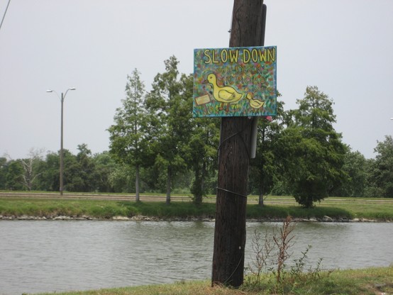 A calm body of water with park with trees and lawn in background. 
In foreground is a utility pole with a hand-painted sign affixed to it. Drawings of a large duck and a small duck.
Text: "SLOW DOWN - Baby Ducks in Road Ahead". 
