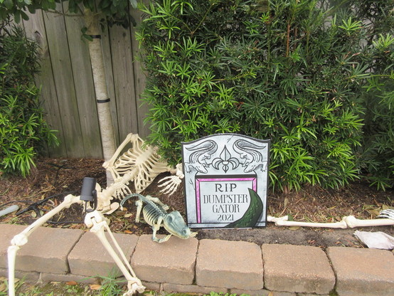 Display in small garden space, wooden fence in background, green shrubs in soil bed.  Halloween plastic skeletons lie at left, one human form the other alligator.  
Sign in form of fake tombstone drawings of a pair of alligators at top with a fleur-de-lis in the center.  Below is text: "RIP DUMPSTER GATOR 2021".  At bottom is artwork depicting the tip of the tail of an alligator sticking up from the ground.

Note: Reference is to a large dead alligator seen sticking out of a dumpster in an urba…