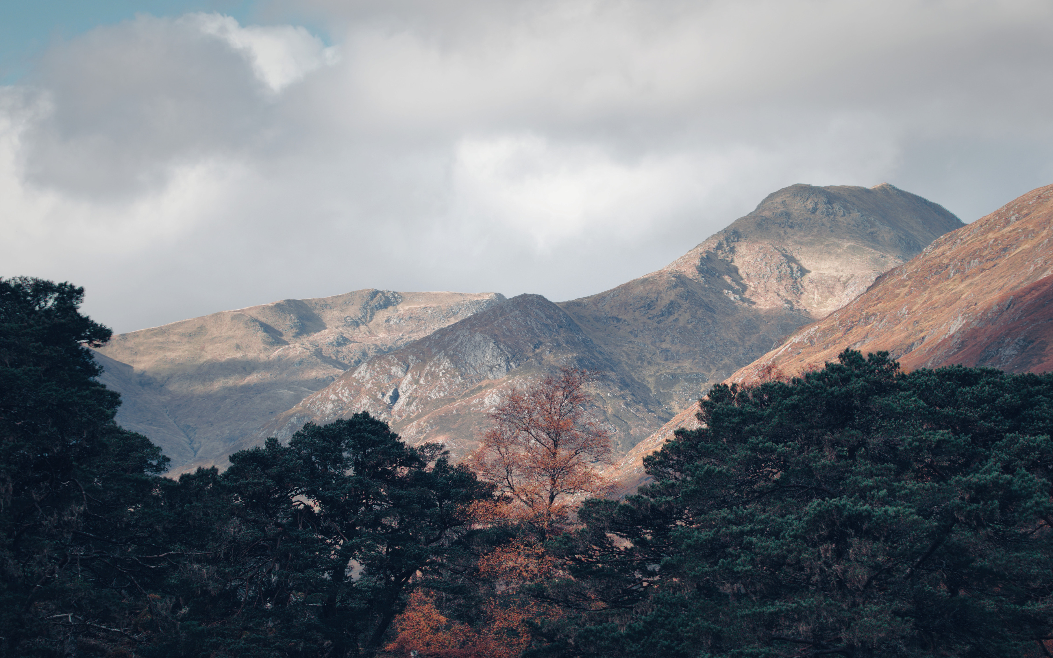 Sunlight and cloud shadow on the slopes of An Tudair and An Tudair Beag, Glen Affric