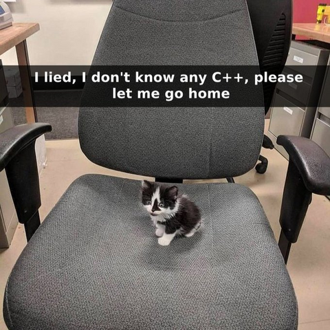 Tiny kitten sitting on an office chair looking very sorry for himself.

