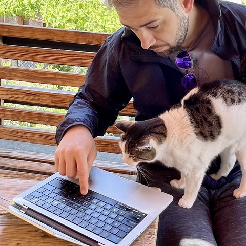 Cat learning to program