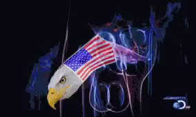A gif showing an x-ray of a man getting an erection. A bald eagle and American flag are superimposed.