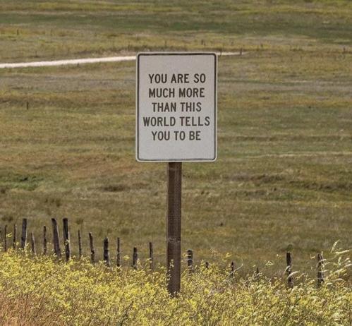 sign in a field that reads: 'you are so much more than this world tells you to be'