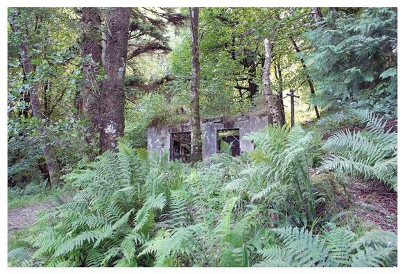 Colour photograph showing an abandoned derelict concrete building within woodland.