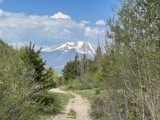 An old, dirt road lined with trees and a view of a round topped mountain with patches of snow in the distance, with thick white clouds hanging over it.