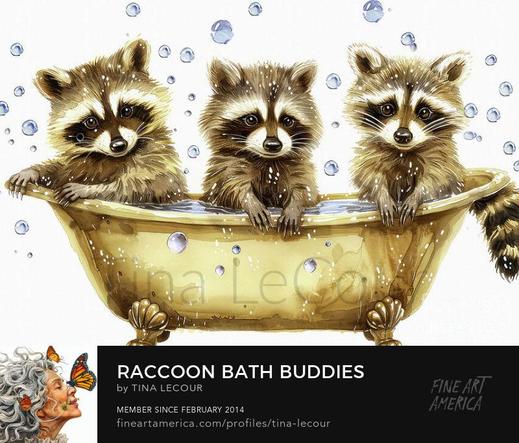 This is a whimsical watercolor of three adorable raccoons sitting in a fancy gold claw tub taking a bath. 