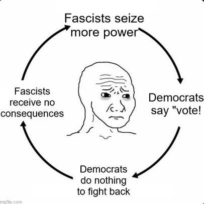 cycle of like in the USA --

Fascists seize more power —> Democrats say 