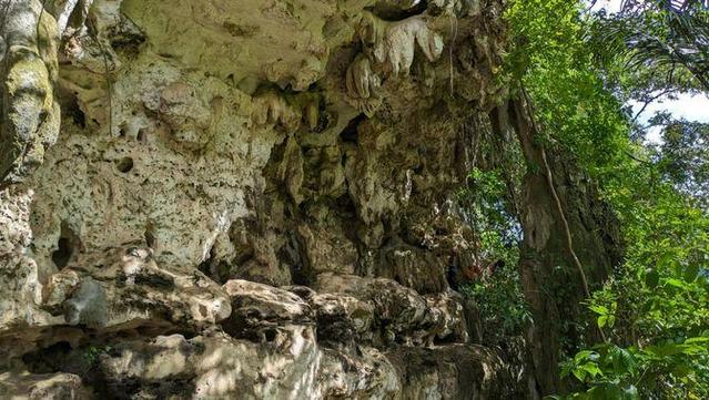La cova indonèsia on s'han trobat les pintures rupestres més antigues del món (EFE/Universitat de Griffith)