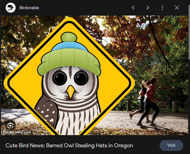 Ray*mond Li*terally (madbarristermastodon.social) Mastodon