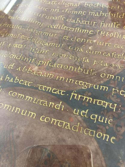 Close-up of a medieval manuscript displaying ornate, gold-colored Latin text on an aged, purple parchment background.