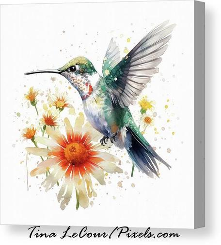 This is a artwork of a  pretty juvenily Ruby Throated Hummingbird flying near a daisy flower against a white background. 