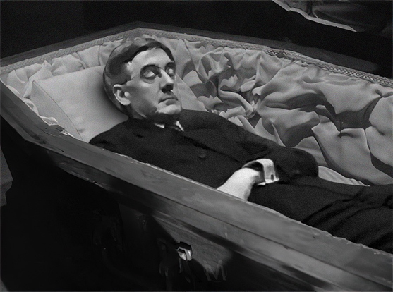 Nosferees-Mogg asleep in his coffin 