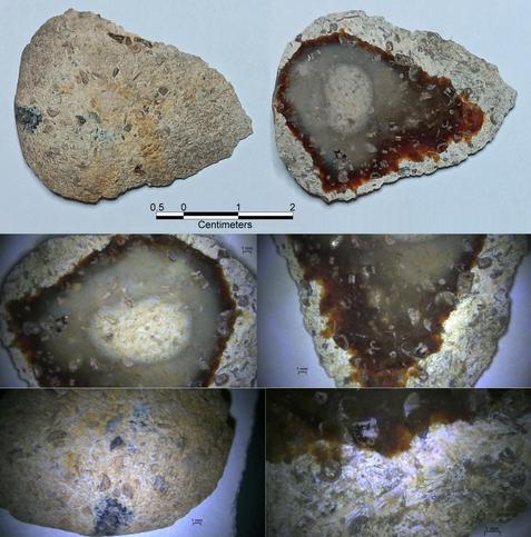 6 views. Top 2 show dorsal & ventral of whole flake. Middle 2 show magnified views of interior chalcedony with fossils. 1st bottom view shows same magnification of fossils, but on the exterior. 2nd bottom view is twice the magnification showing fossils in the interior cortex.