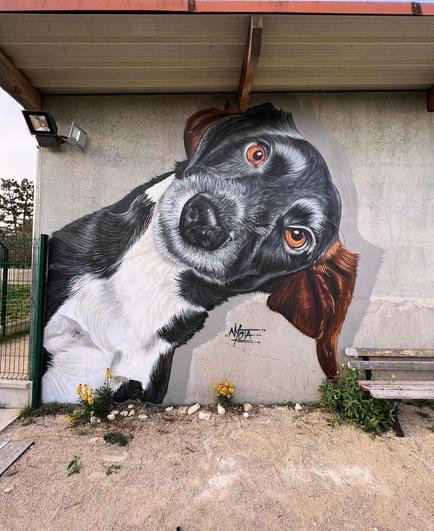 Streetartwall. A mural with a cute dog was painted on the wall of an animal shelter. It shows the head of the black and white dog with short fur, holding its head slightly to one side and looking at the viewer with big dog eyes. A very sweet mural in a rather sad place. (There is an old wooden bench next to the mural)
Info: The mural was inspired by the fantastic photographs of animal photographer Elke Vogelsang (
