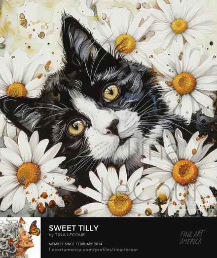 This is a portrait of a sweet Tuxedo cat named Tilly posing in some daisy flowers.