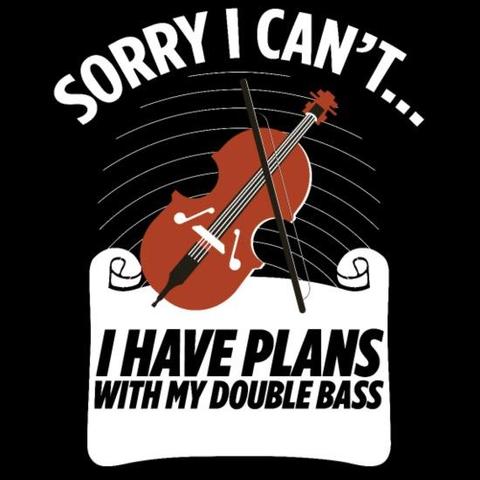 bowed bass double bass instrument funny gift womens premium t shirt
