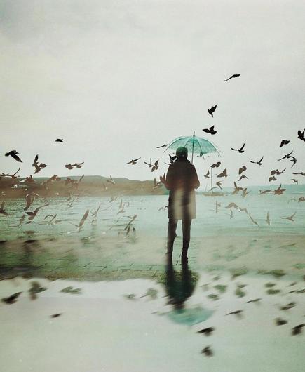 Photography and Art. A color photo
of a woman with an umbrella by the sea. The photo is very reduced in color to shades of gray and blue and shows a young woman from behind. She is standing on the quay, wearing a light-colored coat and holding a blue umbrella above her. Dozens of birds circle above her. The sea with a sailing boat and a brown hilly landscape can be seen in the background. The photo appears to be shrouded in mist and the water is reflected in the foreground, which is irritating as the woman seems to be standing in the water. A slightly edited photo, but one that is superbly photographed and edited, capturing the melancholy, beautiful mood of a rainy day by the sea.