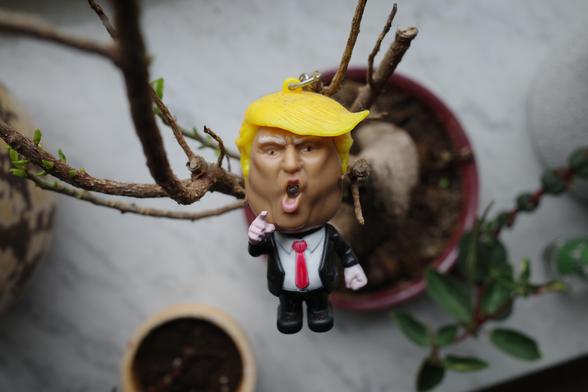 Picture of a Donald Trump keychain hanging on a Bonsai tree branch.