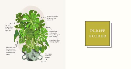 Plants Guides