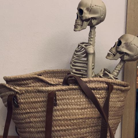 two plastic skeletons in a basket of woven grass with leather straps