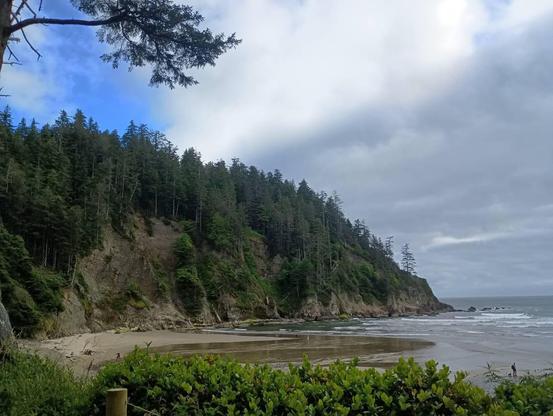 Beach, conifer forest, freshwater creek all meet the Pacific on a July evening