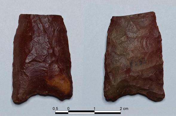 Small triangular dark red chert Clovis point with distal end missing. One side has a flute & the other does not.