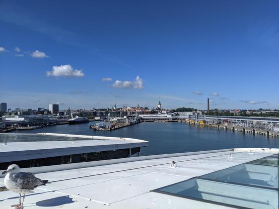La ville de Tallinn au loin au fond, prise depuis le ferry qui quitte le port. En bas à gauche au premier plan, une mouette posée tranquille sur le bateau. Le ciel est bleu avec à peine quelques petits nuages.