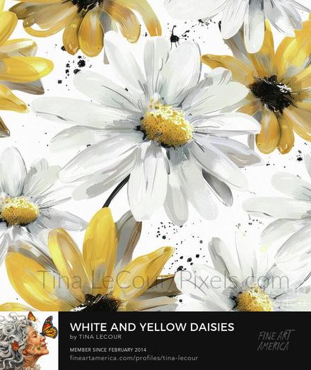 This is a watercolor of some pretty white and yellow daisy flowers.