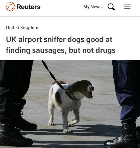 Reuters 
UK airport sniffer dogs good at finding sausages, but not drugs