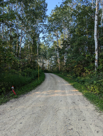 A view looking down a single-track dirt road.
The road is lined with green trees and shrubs along both sides.
Along the left side of the road is a red post, followed by a yellow pole.
There is a second pole just visible in the distance, with another red post a bit beyond the pole.
There is a feed line running from the near red post off the left side of the photo.